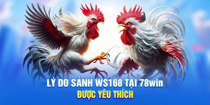 Sảnh WS168 Tại 78WIN - Chinh Phục Sảnh Đá Gà Đỉnh Cao 2025 2 Lý do sảnh WS168 tại 78WIN được yêu thích